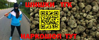 трава Сланцы